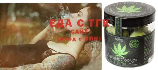 индика Нягань