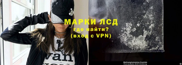 индика Нягань