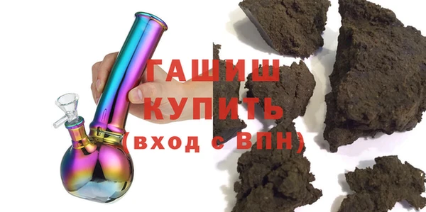 индика Нягань