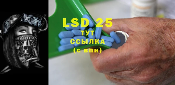 индика Нягань
