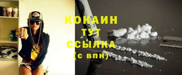 индика Нягань