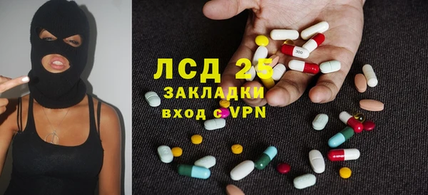 индика Нягань