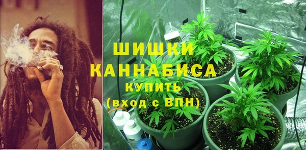 ECSTASY Абаза