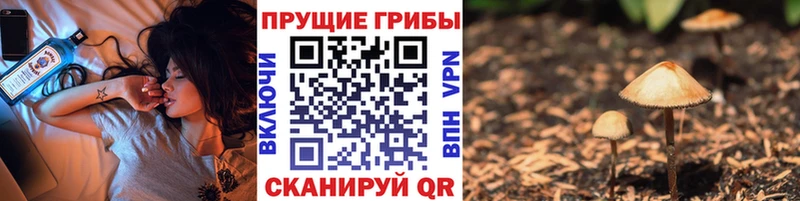 Псилоцибиновые грибы MAGIC MUSHROOMS  площадка клад  Краснокамск 